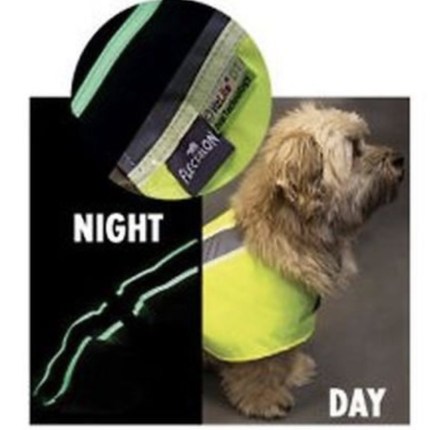 Flecta Hi-Viz dog coat detail
